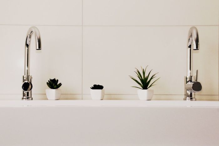 Potted plants on sink in bathroom
