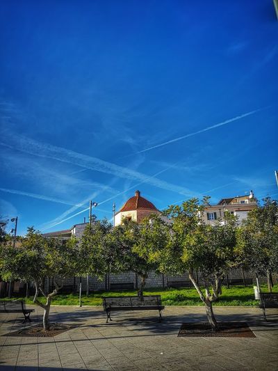 Park by buildings against blue sky