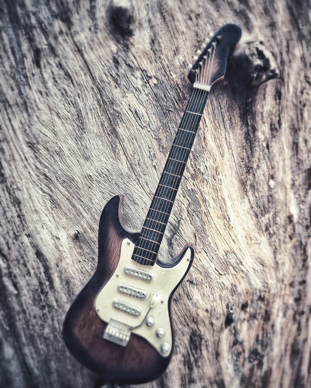 HIGH ANGLE VIEW OF GUITAR ON TREE TRUNK