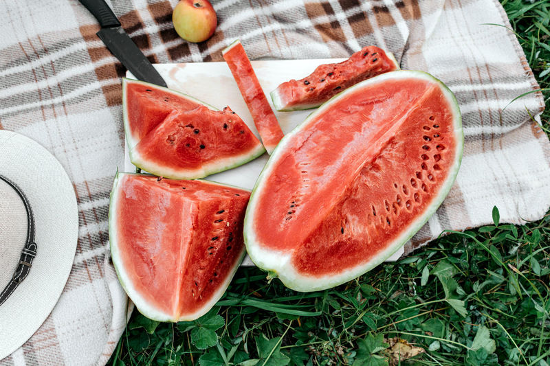 Sliced watermelon in summer picnic composition