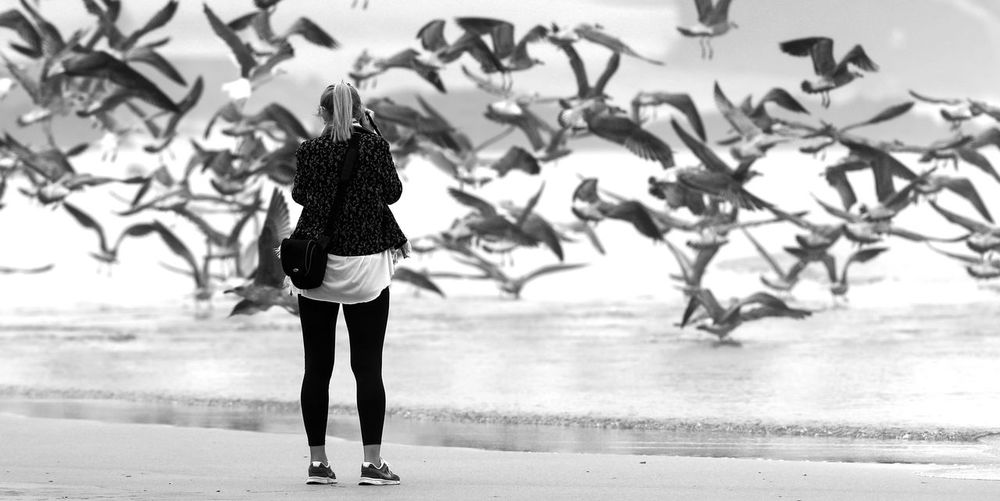Rear view of woman standing at beach against sky full of seagulls 