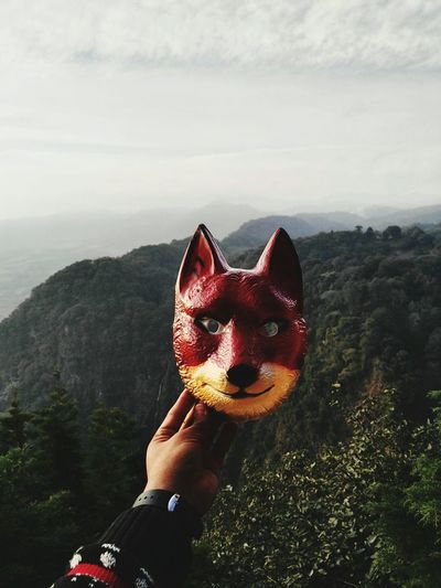 Close-up of woman holding dog against mountain