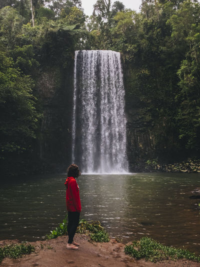 Rearview of a young woman looking at the waterfall while standing, millaa milaa falls, tropical queensland, australia.
