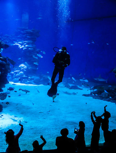 Silhouette people looking at scuba diver in aquarium