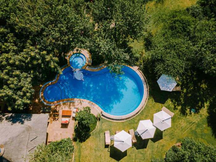 Aerial view of swimming pool by trees