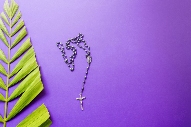 Good friday, palm sunday, ash wednesday, lent season and holy week concept. cross and palm leaves .