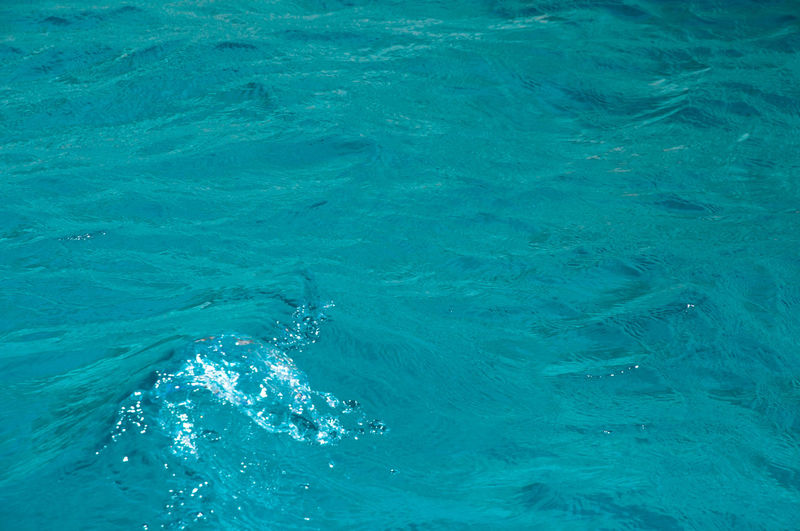High angle view of swimming pool in sea