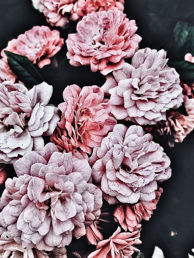 Close-up of fresh pink flower bouquet