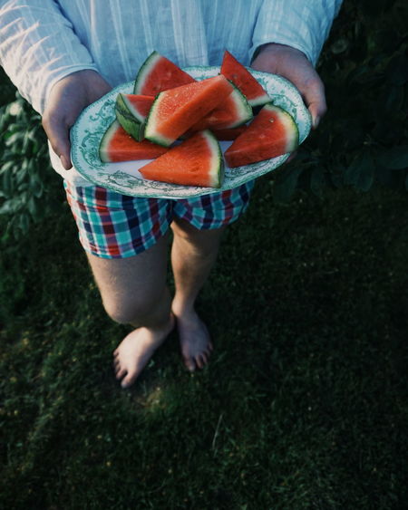 Low section of woman holding watermelon in plate