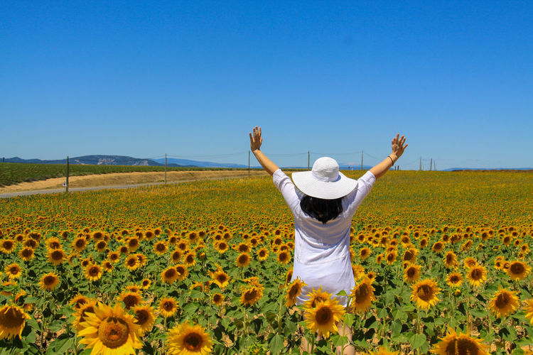 Rear view of woman with arms raised standing on sunflower farm against clear blue sky