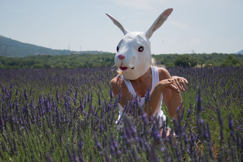 Woman wearing rabbit mask by blooming lavenders