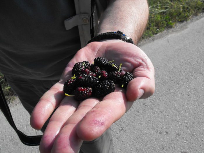 Midsection of man holding blackberries on street