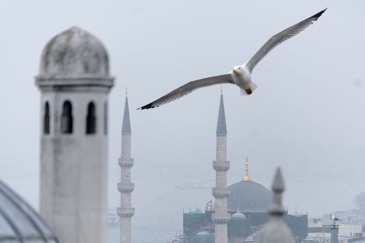 Bird flying over mosque against sky in city