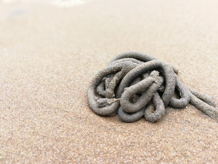 High angle view of rope tied on sand