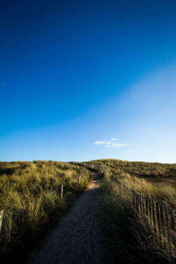 Scenic view of field against clear blue sky