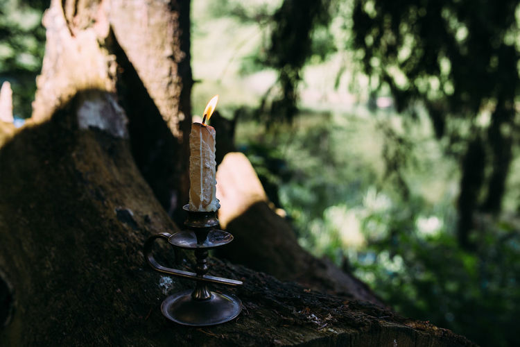 Burning candle in enchanted forest. occult, esoteric concept.