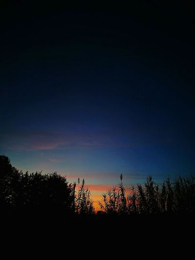 Silhouette trees on landscape against sky at sunset