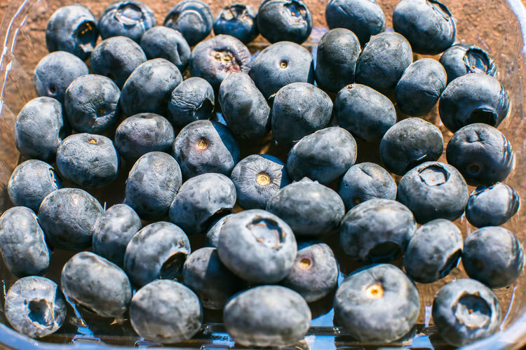Close up of pile of fresh blueberries