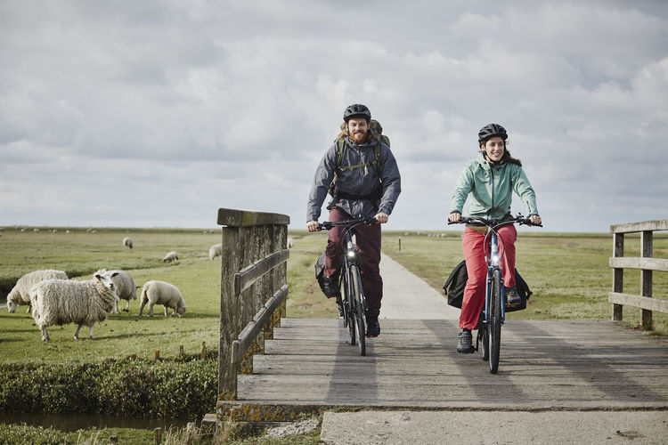 Germany, schleswig-holstein, eiderstedt, couple on bicycles crossing bridge on path through salt marsh