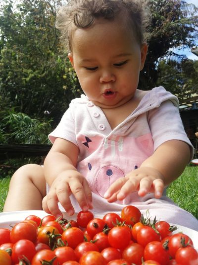 Cute baby sitting by fresh cherry tomatoes in back yard