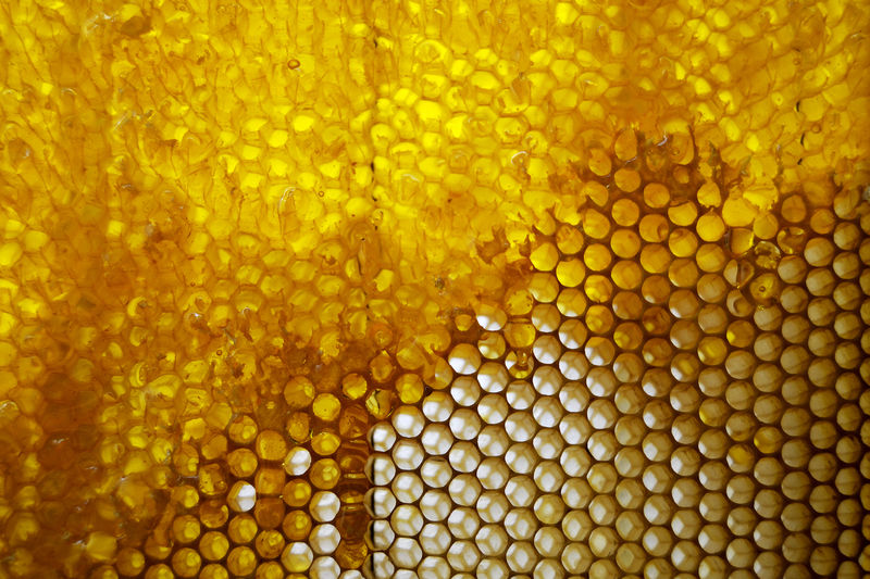 Drop of bee honey drip from hexagonal honeycombs filled with golden nectar