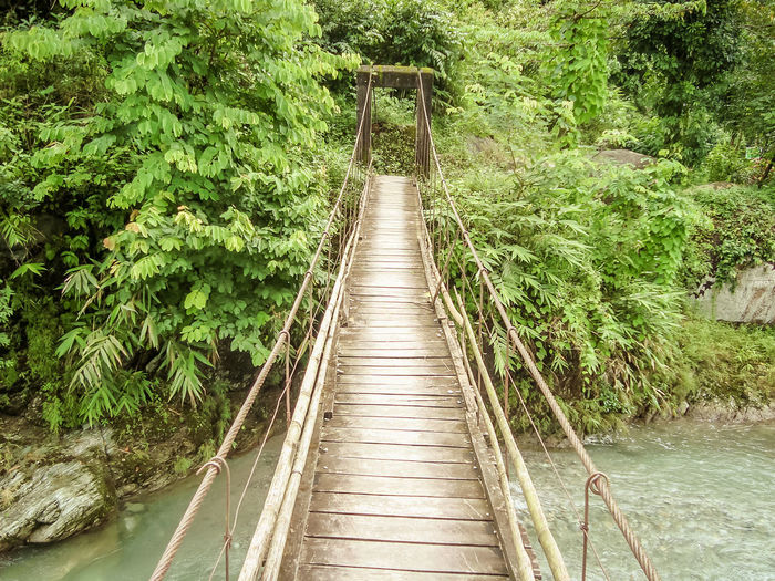 Footbridge amidst trees in forest. suntalekhola bridge over jhalong river, kalimpong, india 