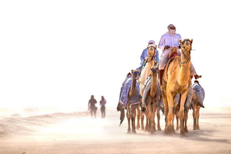 Men riding camels at desert against clear sky