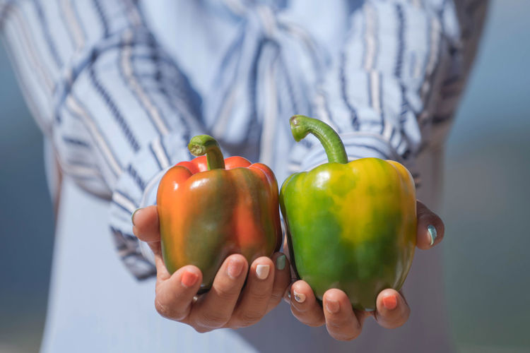Midsection of woman holding bell pepper