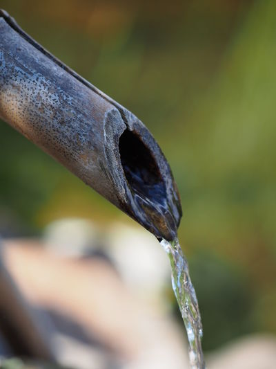 Close-up of water flowing from wooden pipe