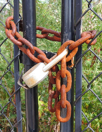 Close-up of padlock on metal gate