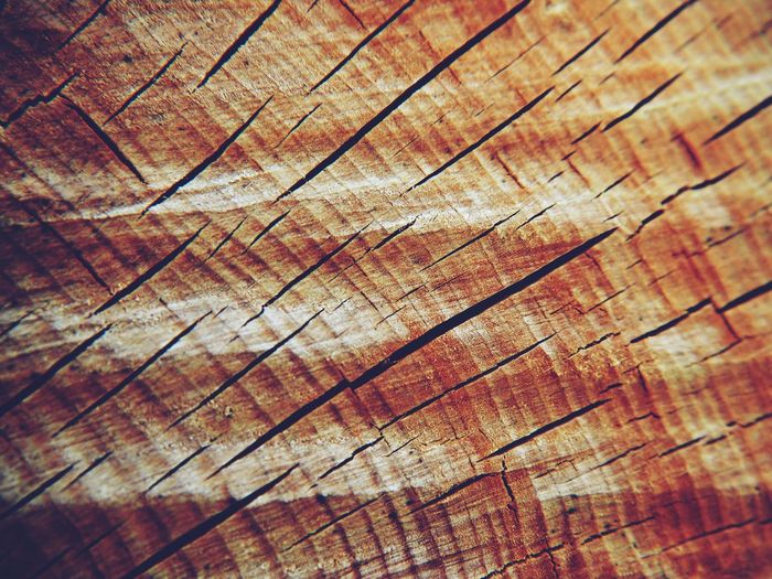 Full frame shot of wood