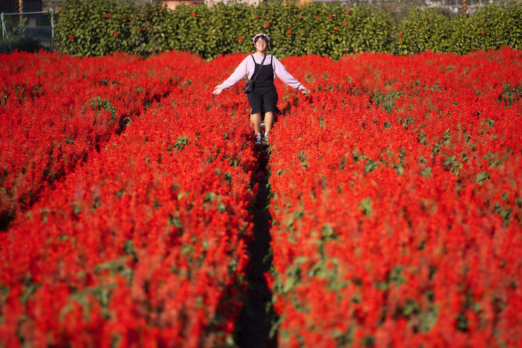 Woman standing by red blooming flowers