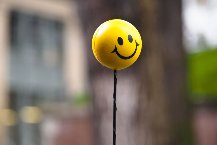 Close-up of yellow toy hanging on pole