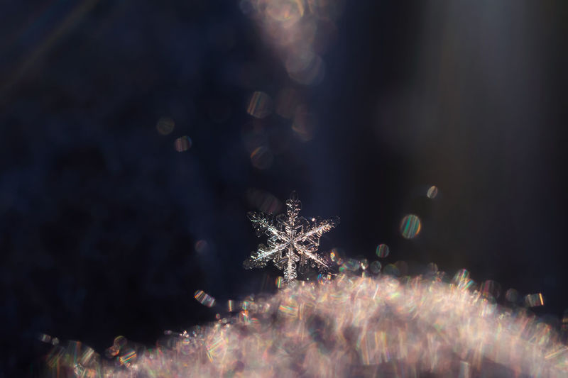 Extreme close-up of snow crystal