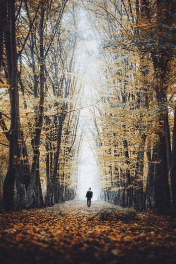 Full length of woman walking amidst trees in forest during autumn
