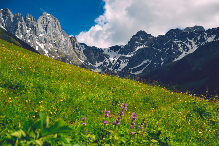 Scenic view of grassy field by mountains against sky