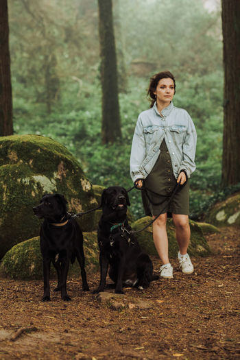 Woman standing with two black labrador dogs on a leash in the forest