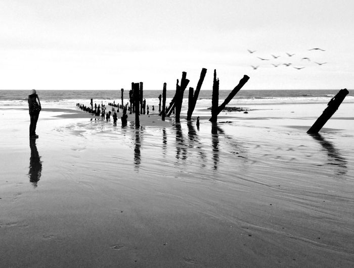 View of wooden posts in sea