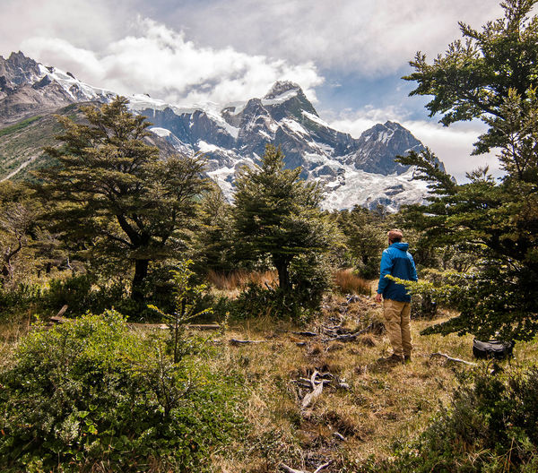 Hiker standing on field amidst trees