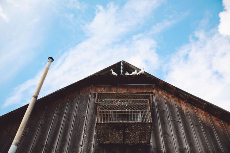 Low angle view of birds perching on barn against sky