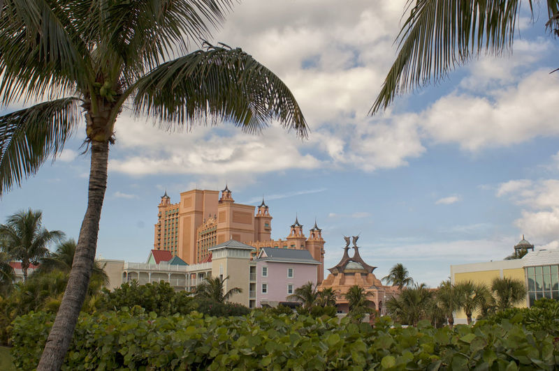 Palm trees and buildings against cloudy sky