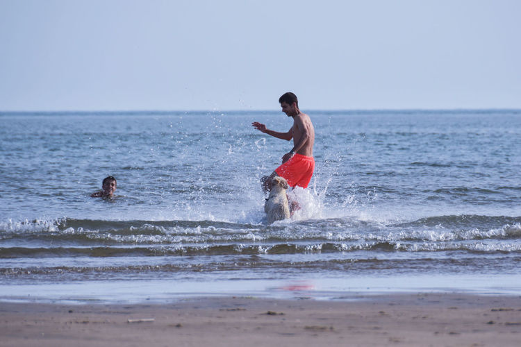 Men with playful dog in sea against clear sky