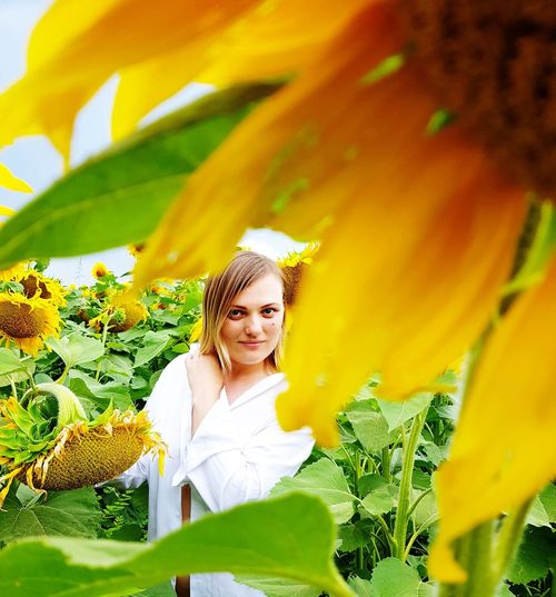 Portrait of woman looking through sunflowers