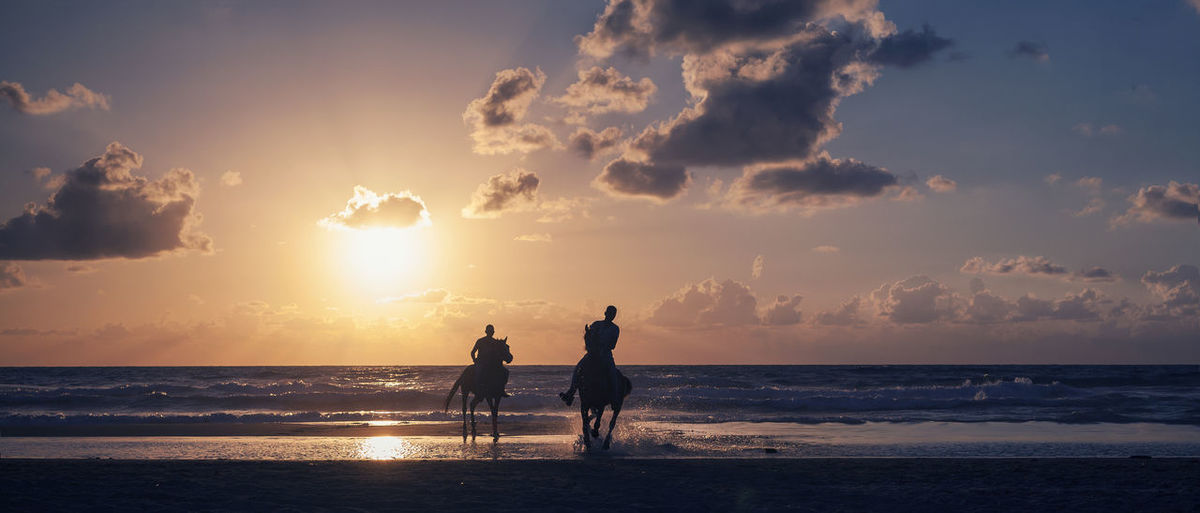 Silhouette male friends horseback riding on shore during sunset