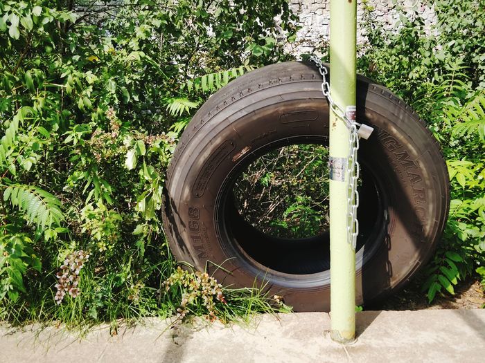 Tire by pole against plants