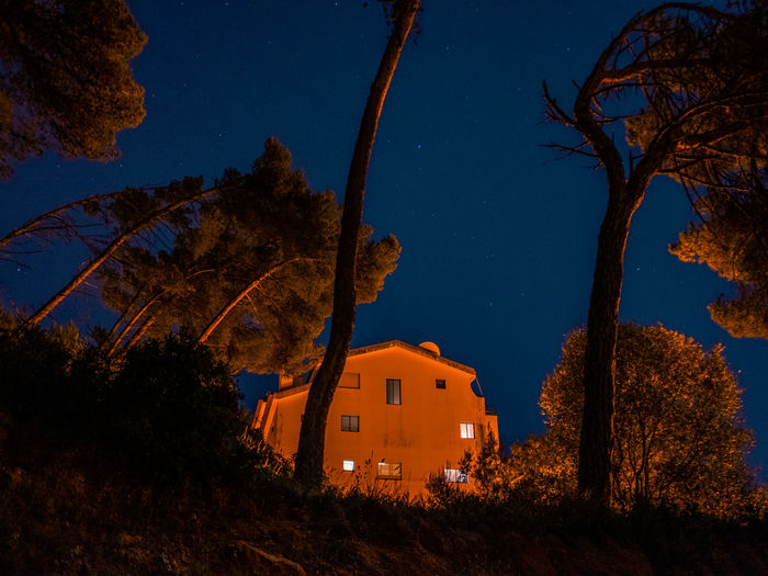 Trees and buildings against sky at night