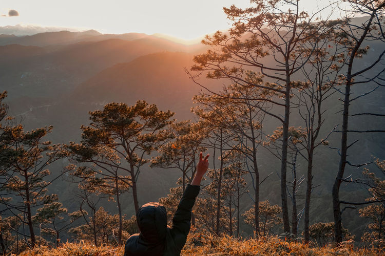Man standing by tree against sky during sunset