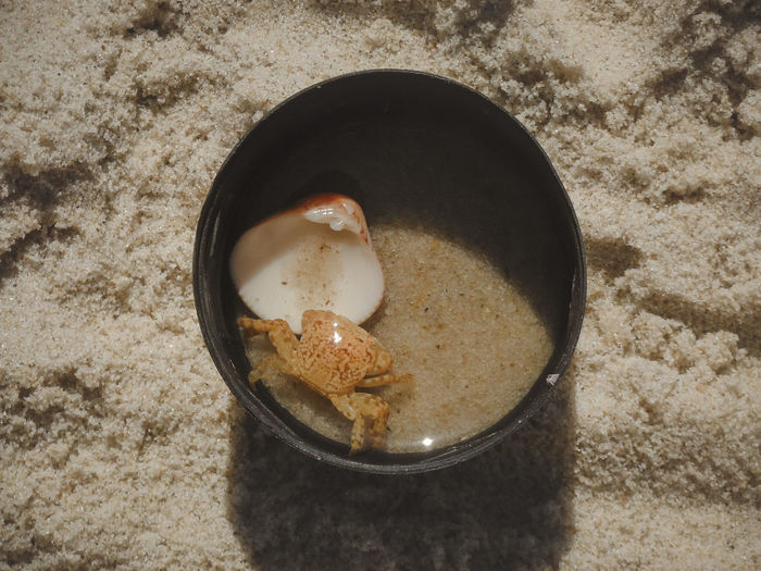 High angle view of egg in container on sand