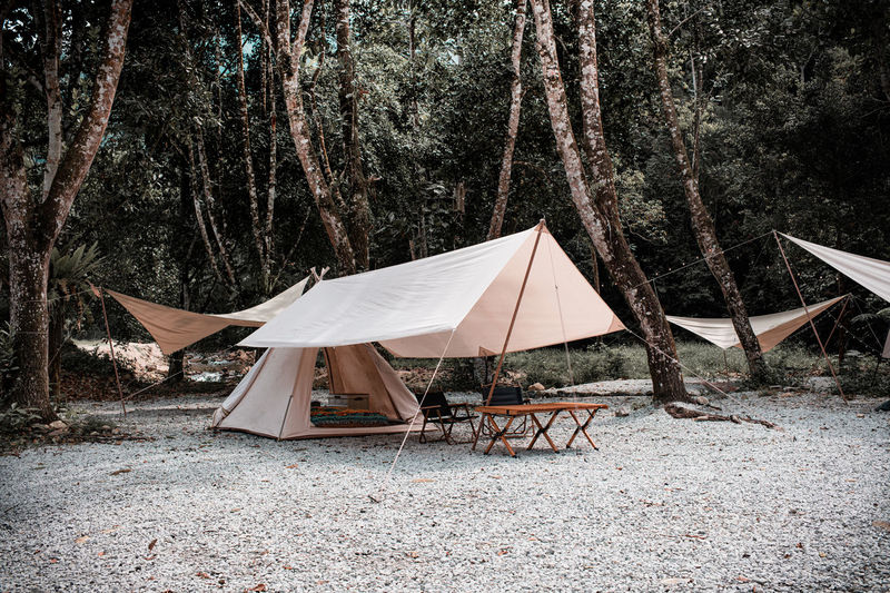 Beautiful rainforest modern camp site 