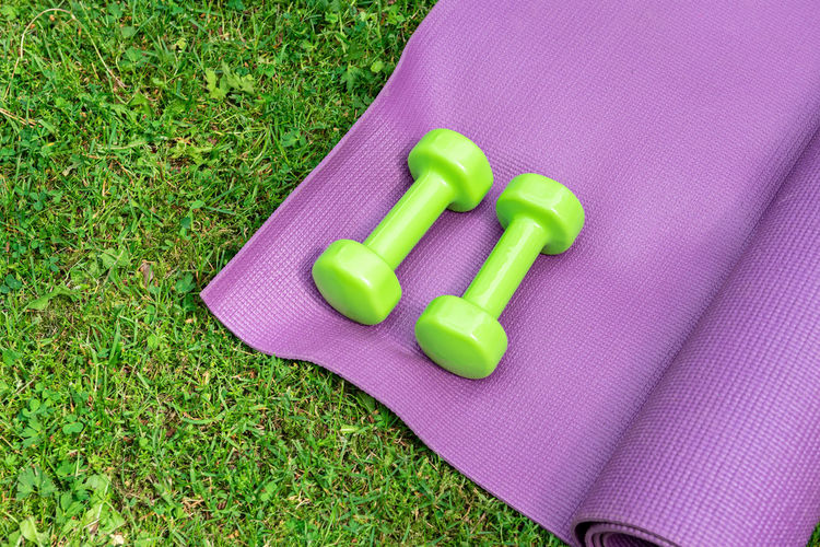 High angle view of dumbbells on grass